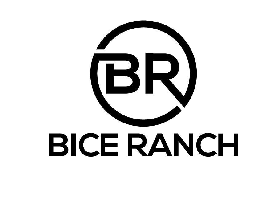 Logo Design entry 2294325 submitted by MuhammadR to the Logo Design for Bice Ranch  run by zacrodne
