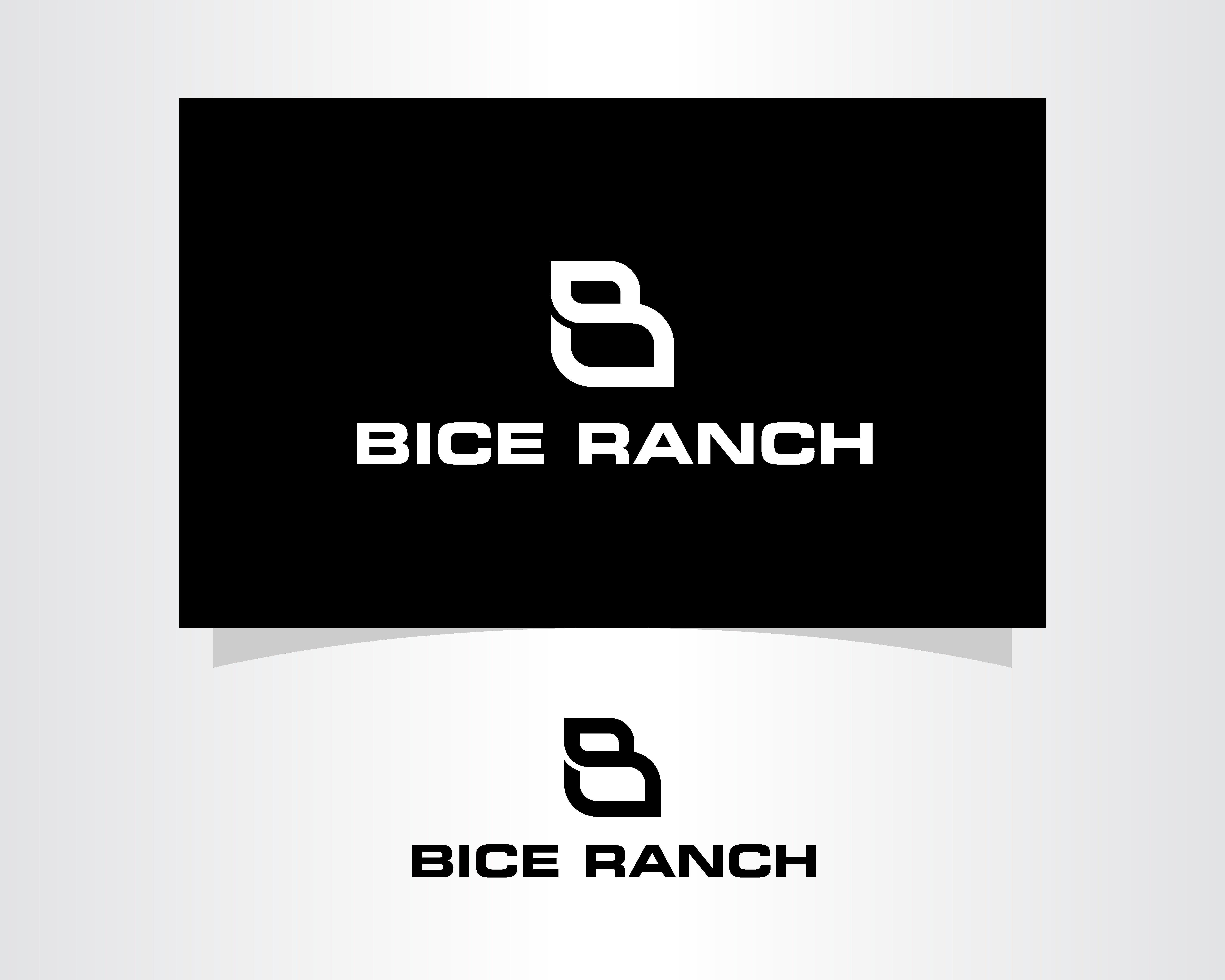 Logo Design entry 2386720 submitted by Di-sign