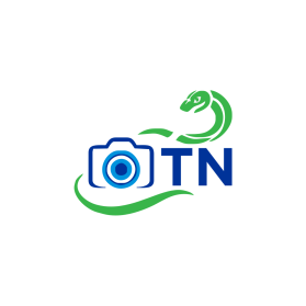 Logo Design entry 2309189 submitted by PRINCE0000 to the Logo Design for TN run by randal_138