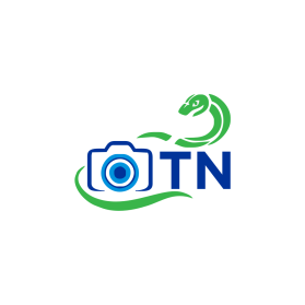 Logo Design entry 2309190 submitted by terbang to the Logo Design for TN run by randal_138