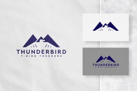 Logo Design entry 2328523 submitted by Erlando to the Logo Design for https://thunderbird.asu.edu/ run by danielfcody