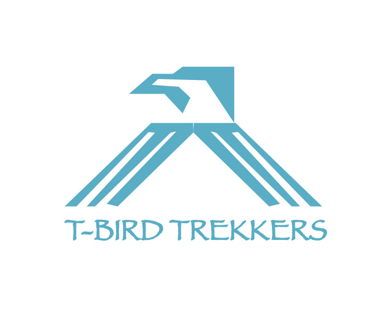Logo Design entry 2328526 submitted by not2shabby to the Logo Design for https://thunderbird.asu.edu/ run by danielfcody