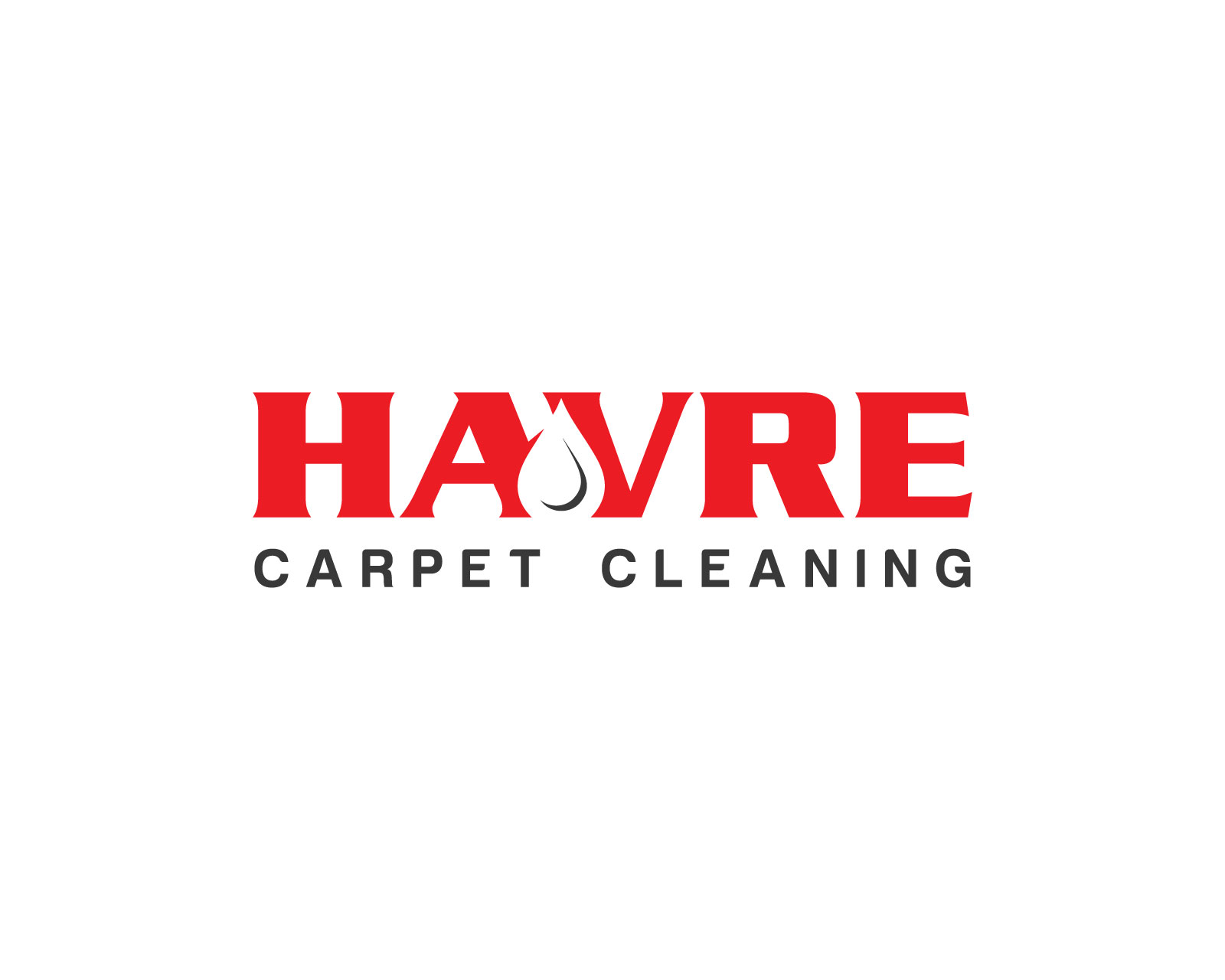 Logo Design entry 2333698 submitted by dibbofficial to the Logo Design for Havre Carpet Cleaning  run by Havrecarpetcleaning