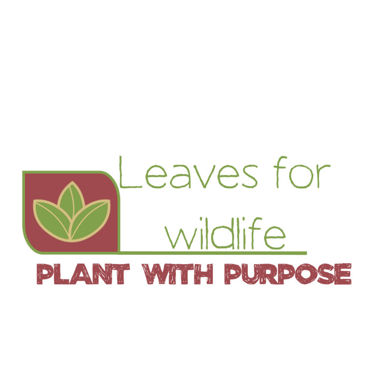 Logo Design entry 2591067 submitted by Absolute creative imaging to the Logo Design for www.leavesforwildlife.com run by PShipley