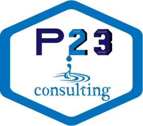 Logo Design Entry 2354700 submitted by Rafiki to the contest for p23 run by rodod5651