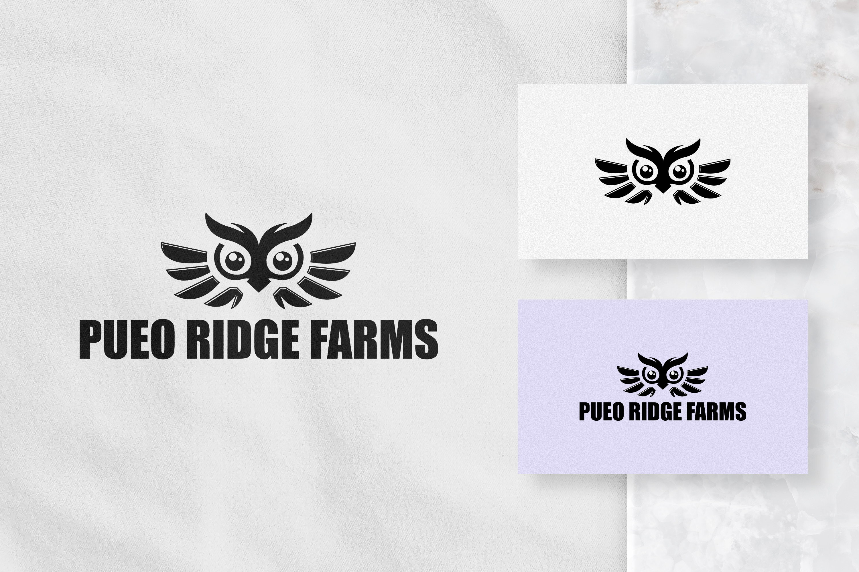 Logo Design entry 2462413 submitted by Nish