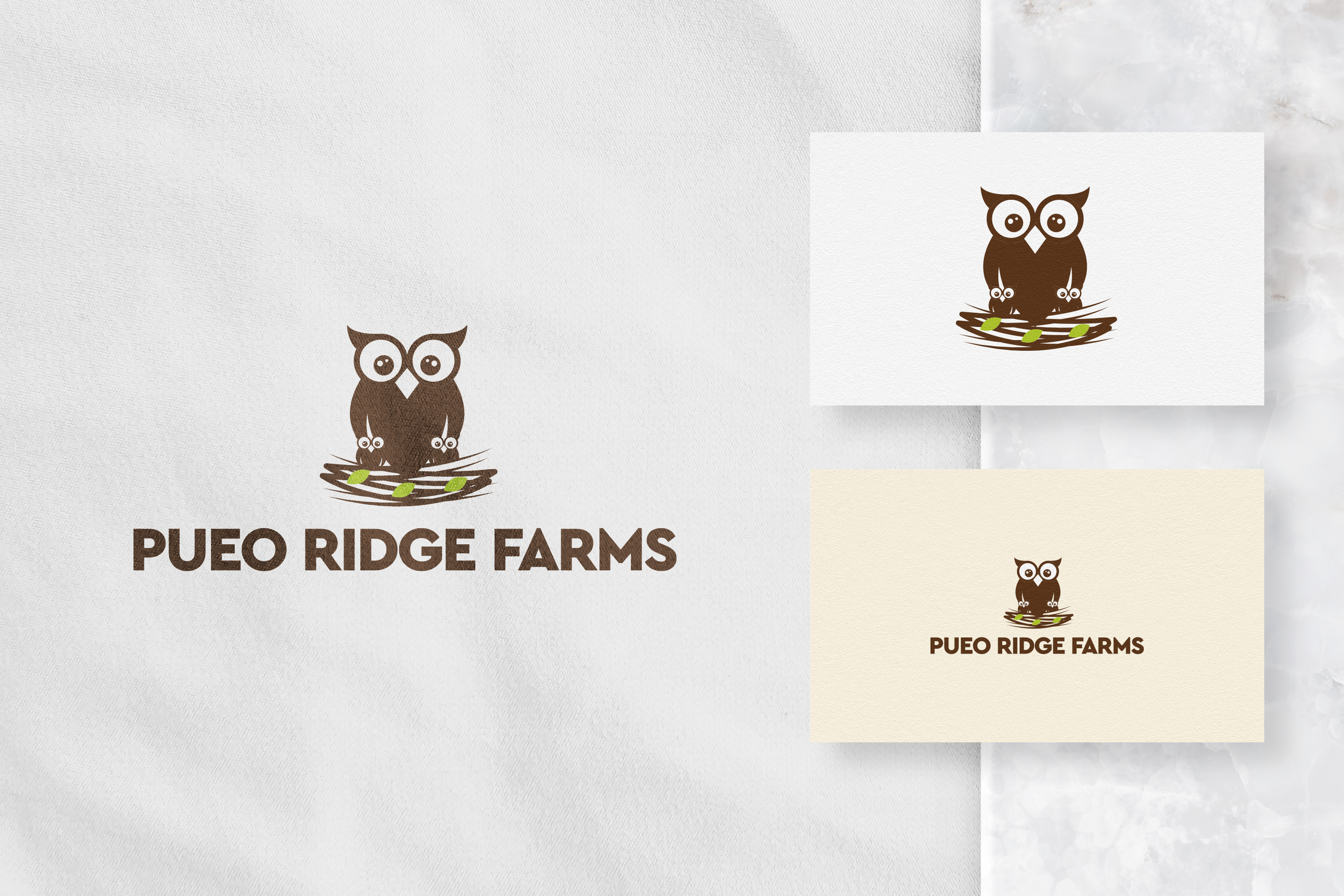 Logo Design entry 2462415 submitted by Nish