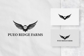 Logo Design entry 2462416 submitted by Nish
