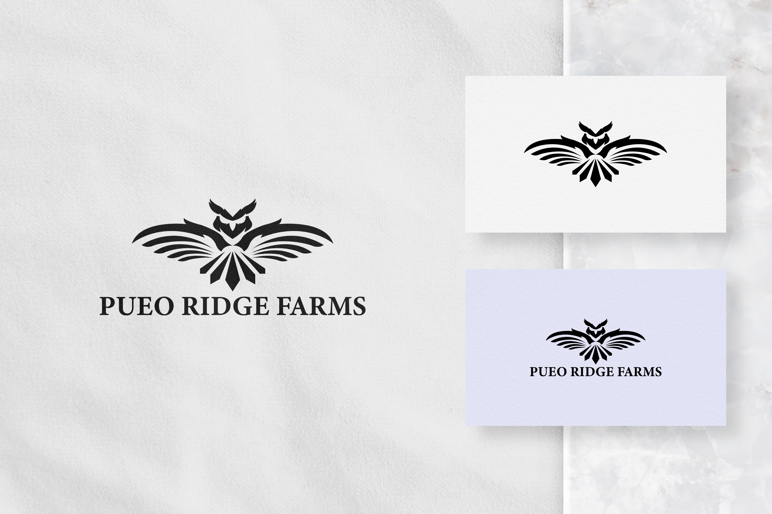 Logo Design entry 2468606 submitted by Nish