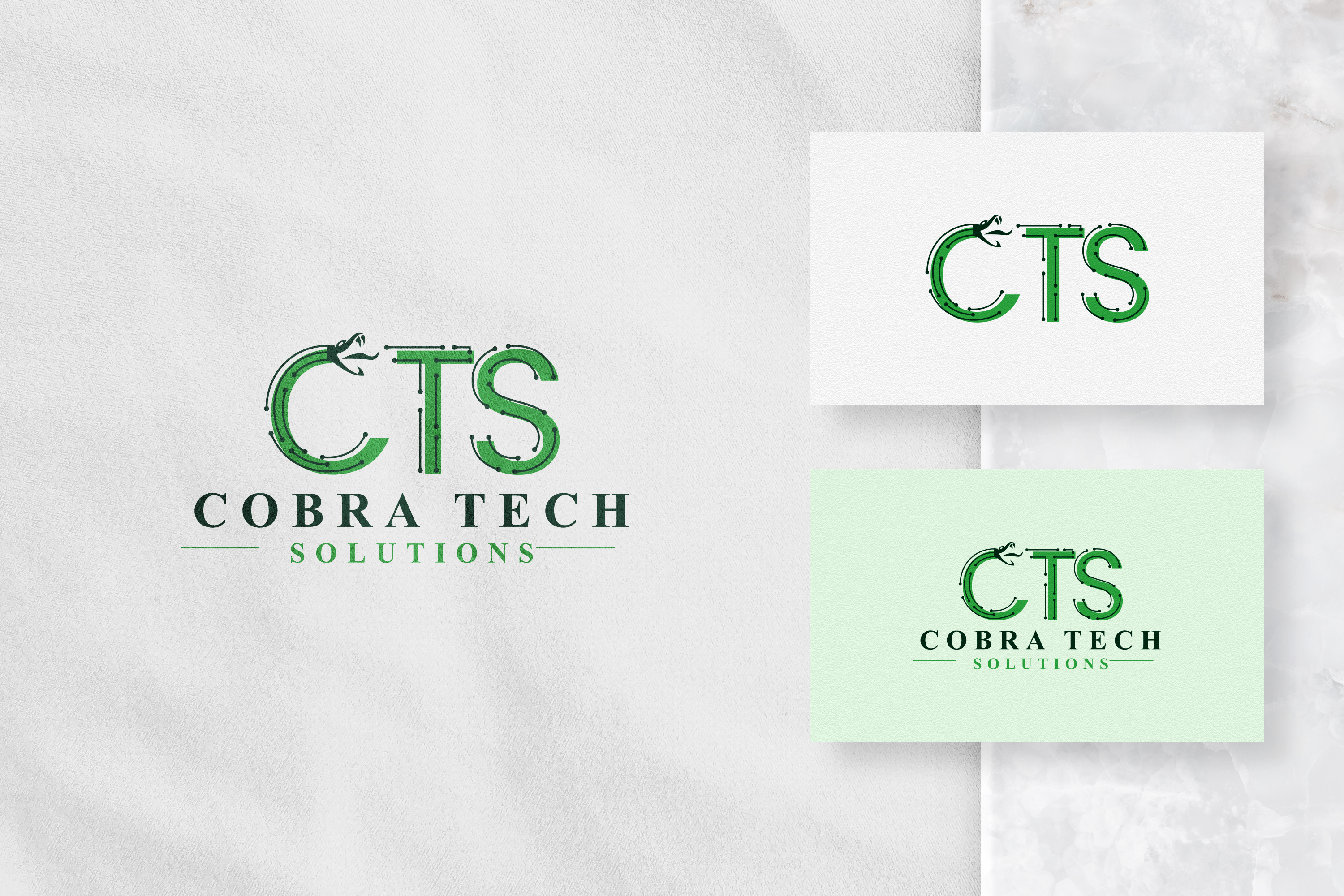 Logo Design entry 2472889 submitted by Nish