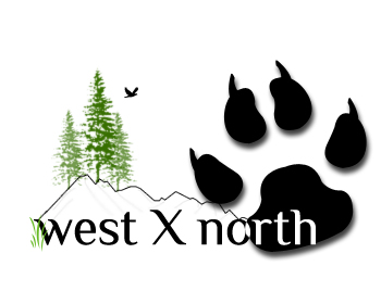 Logo Design entry 71920 submitted by Sykx
