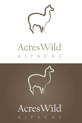 Logo Design entry 17941 submitted by googliebear
