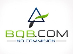 Logo Design entry 18197 submitted by CurtisGraphics to the Logo Design for BQB.com Inc. run by Reece