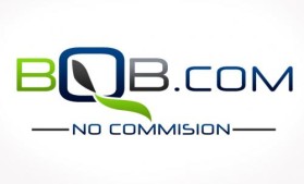 Logo Design entry 18200 submitted by CurtisGraphics to the Logo Design for BQB.com Inc. run by Reece