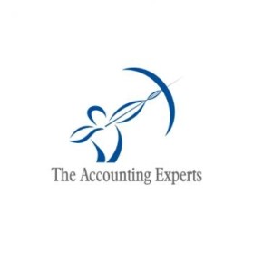 Logo Design Entry 93242 submitted by doncip to the contest for The Accounting Experts run by oaqui