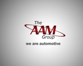 Logo Design Entry 102364 submitted by logoguru to the contest for The AAM Group run by aamgroup