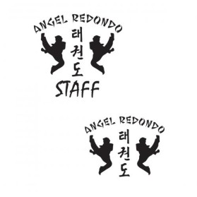 Logo Design entry 19470 submitted by Englezos to the Logo Design for Angel Redondo Taekwondo run by aredondotkd