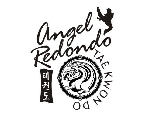 Logo Design entry 19474 submitted by iconicdesign to the Logo Design for Angel Redondo Taekwondo run by aredondotkd