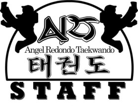 Logo Design entry 19491 submitted by bornaraidr to the Logo Design for Angel Redondo Taekwondo run by aredondotkd