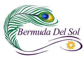 Logo Design entry 111210 submitted by Renaissance to the Logo Design for Bermuda Sol run by Bermuda Sol