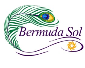 Logo Design entry 111211 submitted by damichi75 to the Logo Design for Bermuda Sol run by Bermuda Sol