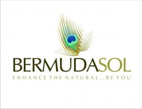 Logo Design entry 111226 submitted by damichi75 to the Logo Design for Bermuda Sol run by Bermuda Sol