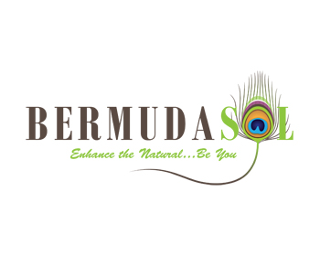 Logo Design entry 111232 submitted by DsDesign to the Logo Design for Bermuda Sol run by Bermuda Sol
