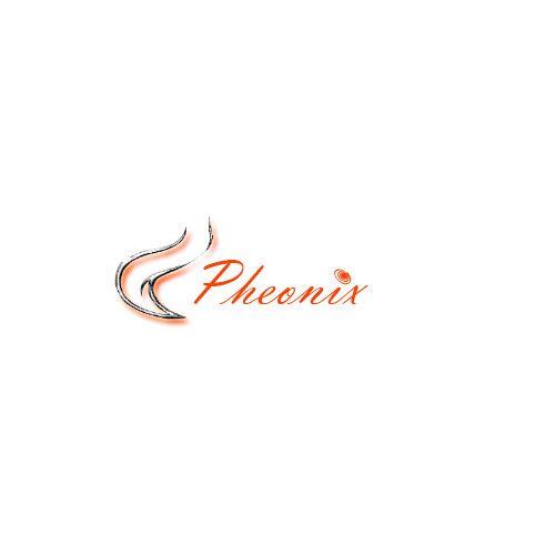 Logo Design entry 342 submitted by ausonii