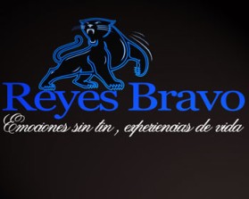 Logo Design entry 125206 submitted by andywillbrad to the Logo Design for Reyes Bravo run by lilianacrismar