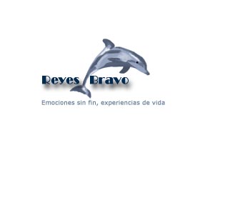 Logo Design entry 125333 submitted by thadia to the Logo Design for Reyes Bravo run by lilianacrismar