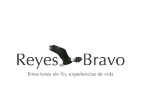 Logo Design Entry 125211 submitted by webarba to the contest for Reyes Bravo run by lilianacrismar