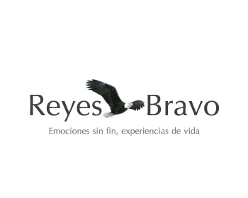 Logo Design entry 125211 submitted by webarba to the Logo Design for Reyes Bravo run by lilianacrismar