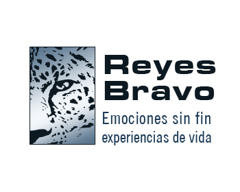 Logo Design entry 125243 submitted by borzoid to the Logo Design for Reyes Bravo run by lilianacrismar