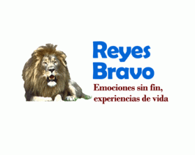 Logo Design Entry 125246 submitted by andywillbrad to the contest for Reyes Bravo run by lilianacrismar
