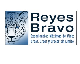 Logo Design entry 125309 submitted by andywillbrad to the Logo Design for Reyes Bravo run by lilianacrismar