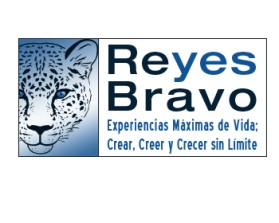 Logo Design entry 125325 submitted by webarba to the Logo Design for Reyes Bravo run by lilianacrismar