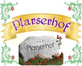 Logo Design entry 130159 submitted by ibsurdities to the Logo Design for Plarserhof run by sanbro