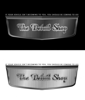 Logo Design Entry 21234 submitted by uglyducky to the contest for www.thedetailshoplasvegas.com run by The Detail Shop