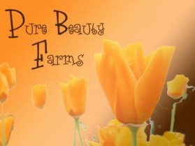 Logo Design entry 134626 submitted by awokiyama to the Logo Design for Pure Beauty Farms Inc. run by j.yanes