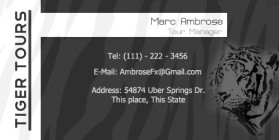 Business Card & Stationery Design entry 125977 submitted by AmbroseFx