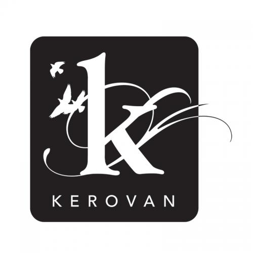 Logo Design entry 22197 submitted by sunnyside to the Logo Design for Kerovan run by Kerovan