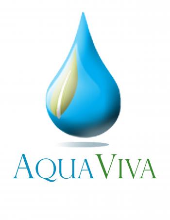 Logo Design entry 140896 submitted by gozzi to the Logo Design for AquaViva run by jetracer5