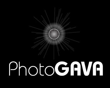 Logo Design entry 141177 submitted by thinkforward to the Logo Design for PhotoGAVA run by gmartin