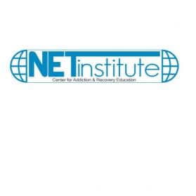 Logo Design Entry 22520 submitted by Phraktol Designs to the contest for NET Training Institute, Inc run by drjean