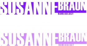 Logo Design entry 23743 submitted by banned_graphichound to the Logo Design for Susanne Braun run by kurmannr