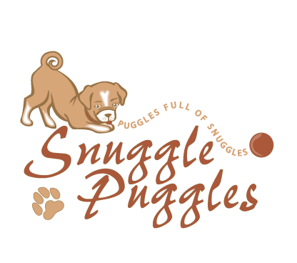 Logo Design entry 10192 submitted by rochelleann