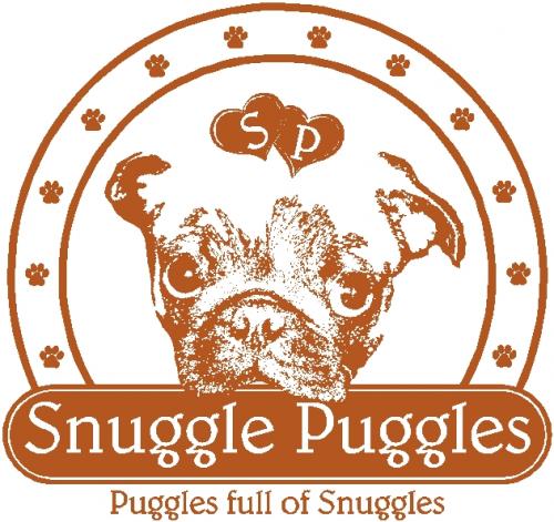 Logo Design entry 23346 submitted by signgirl71 to the Logo Design for www.snugglepuggles.com run by Snuggle Puggles