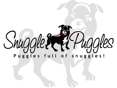 Logo Design entry 23380 submitted by phacker to the Logo Design for www.snugglepuggles.com run by Snuggle Puggles