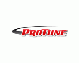 Logo Design entry 164138 submitted by mygreenday69 to the Logo Design for ProTune LLC run by ProTune