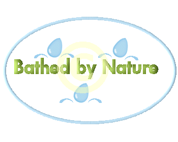 Logo Design entry 151026 submitted by WhisperingSage